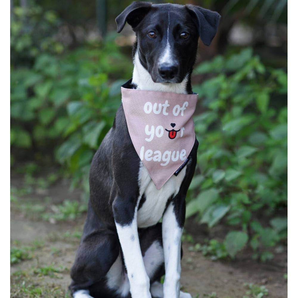 Mutt of Course Cotton Out Of Your League Bandana For Dogs