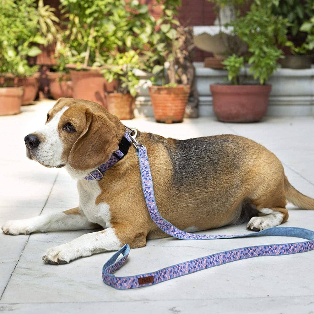 Mutt of Course Geometrical Collar for Dogs