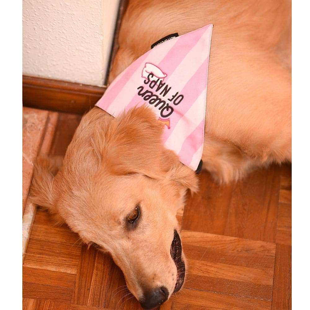 Mutt of Course Cotton Queen Of Naps Bandana For Dogs