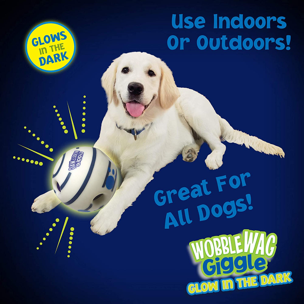 Wobble Wag Giggle Glow in The Dark Interactive Toy for Dogs