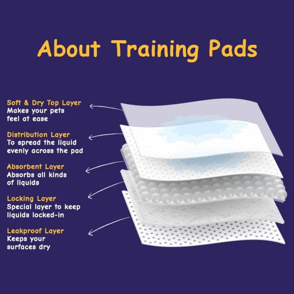 Pawsh Pet Training Pad