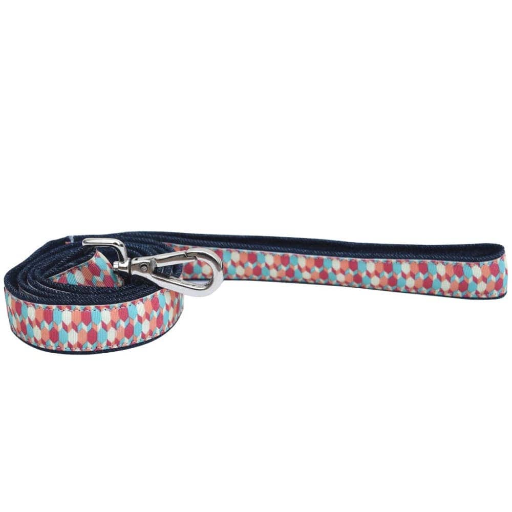 Mutt of Course Candy Barrr Leash for Dogs