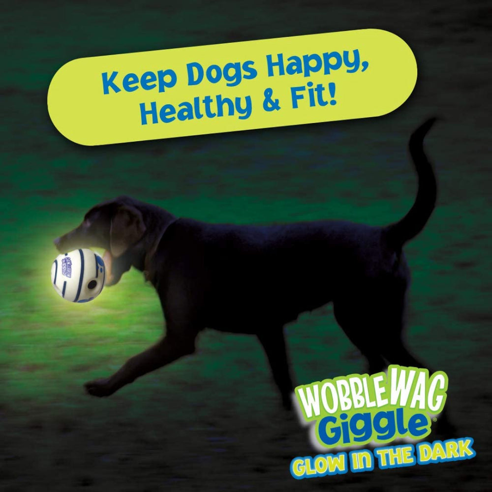 Wobble Wag Giggle Glow in The Dark Interactive Toy for Dogs