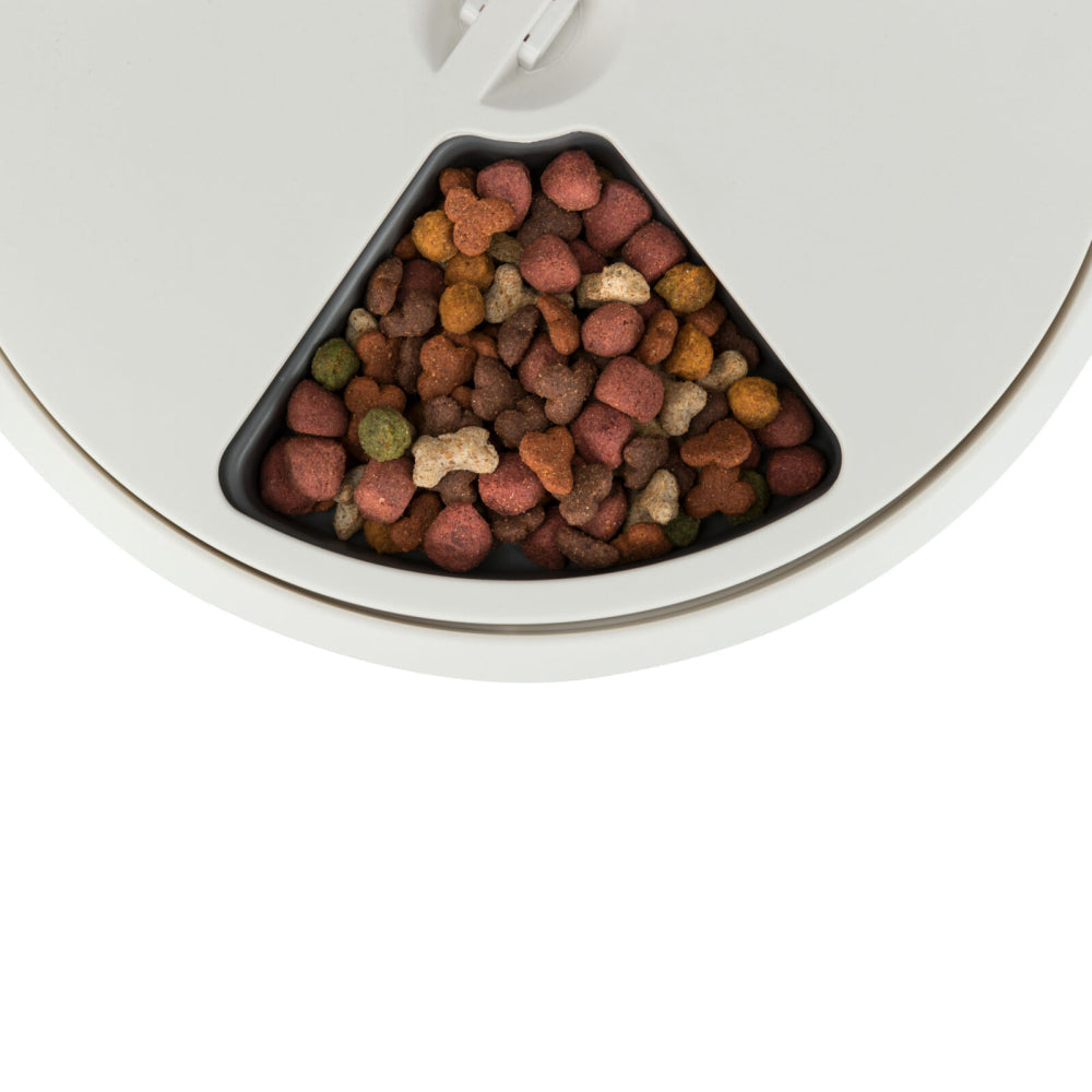 Trixie TX4+1 Automatic Food Dispenser for Pets (White/Grey)