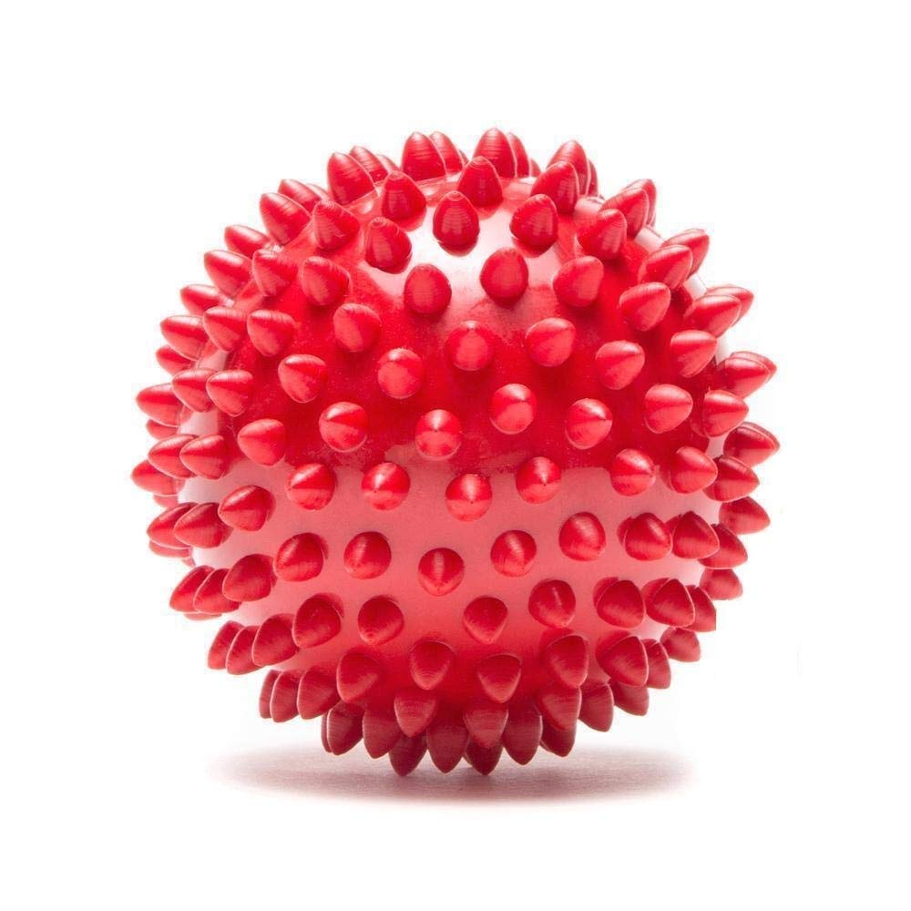 Kiki N Pooch Puppy Ball 5 in 1 Combo Rattle Ball for Dogs
