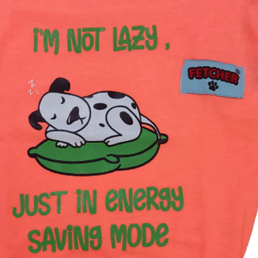 Fetcher Neon Peach and Mint Green Premium T-Shirts for Pets (Set of 2)