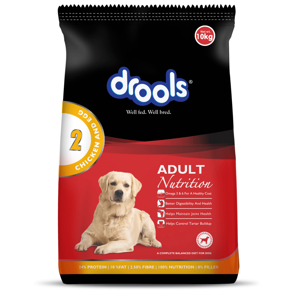 Birthday Special Deal Drools Chicken and Egg Adult Dog Dry Food (10+1Kg)