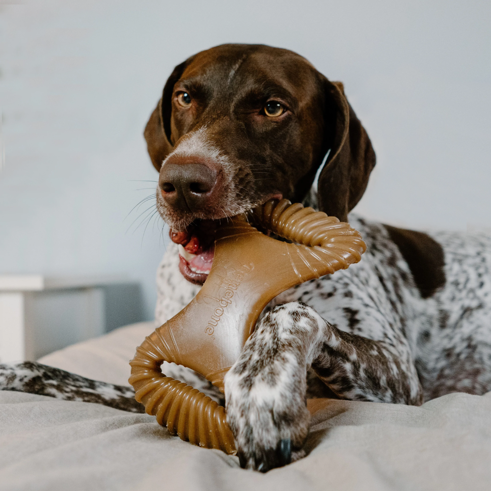 Benebone Dental Chew Chicken for Dogs
