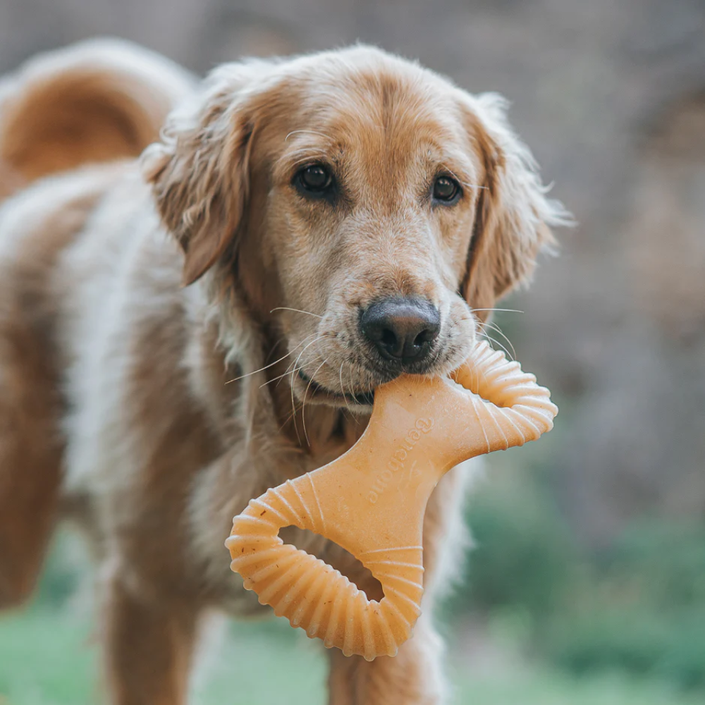 Benebone Dental Chew Chicken for Dogs