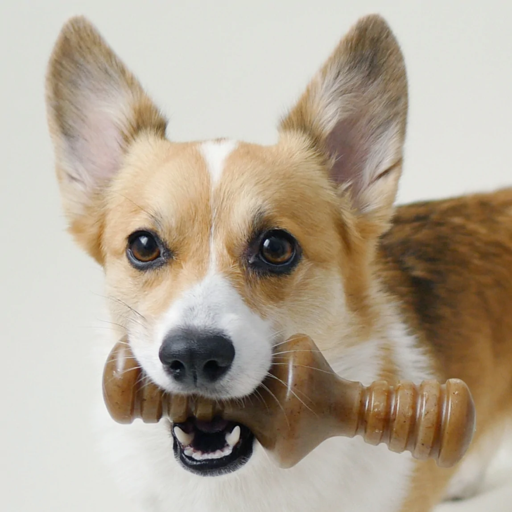 Benebone Zaggler Chicken Chew Toy for Dogs