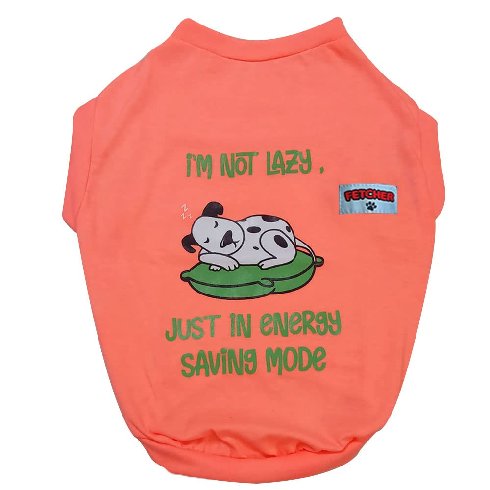 Fetcher Neon Peach and Mint Green Premium T-Shirts for Pets (Set of 2)