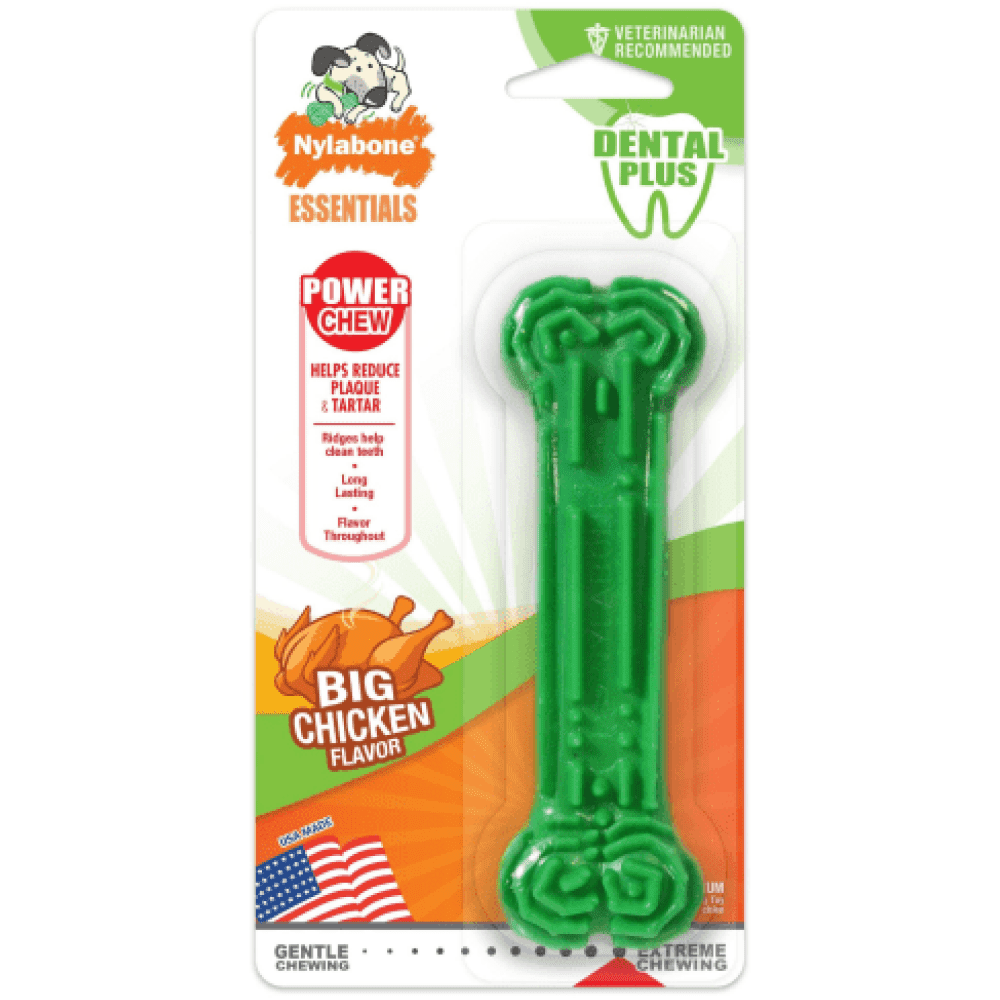 Nylabone Daily Dental Durable Chew Toy for Dogs (Green)