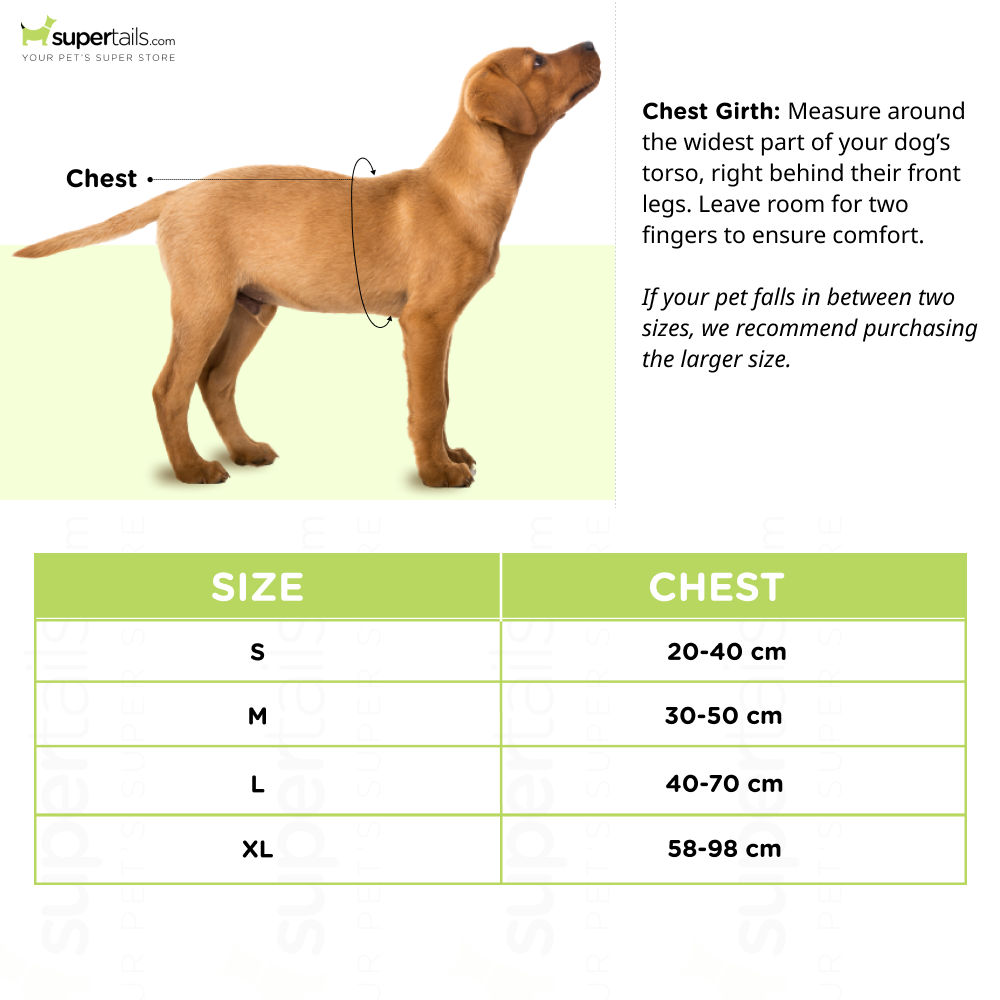 GiGwi Classic Line Harness for Pets (Yellow)