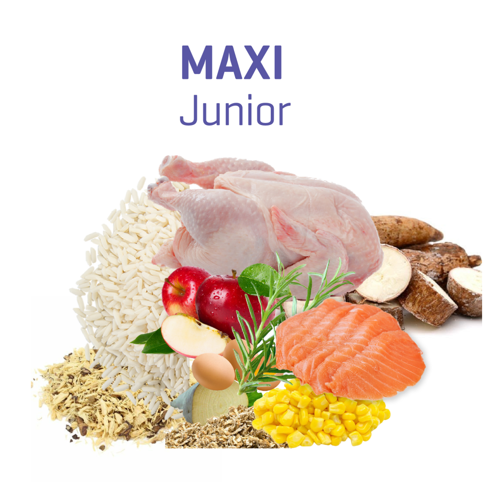 Dibaq Fitmin Maxi Junior Dog Dry Food