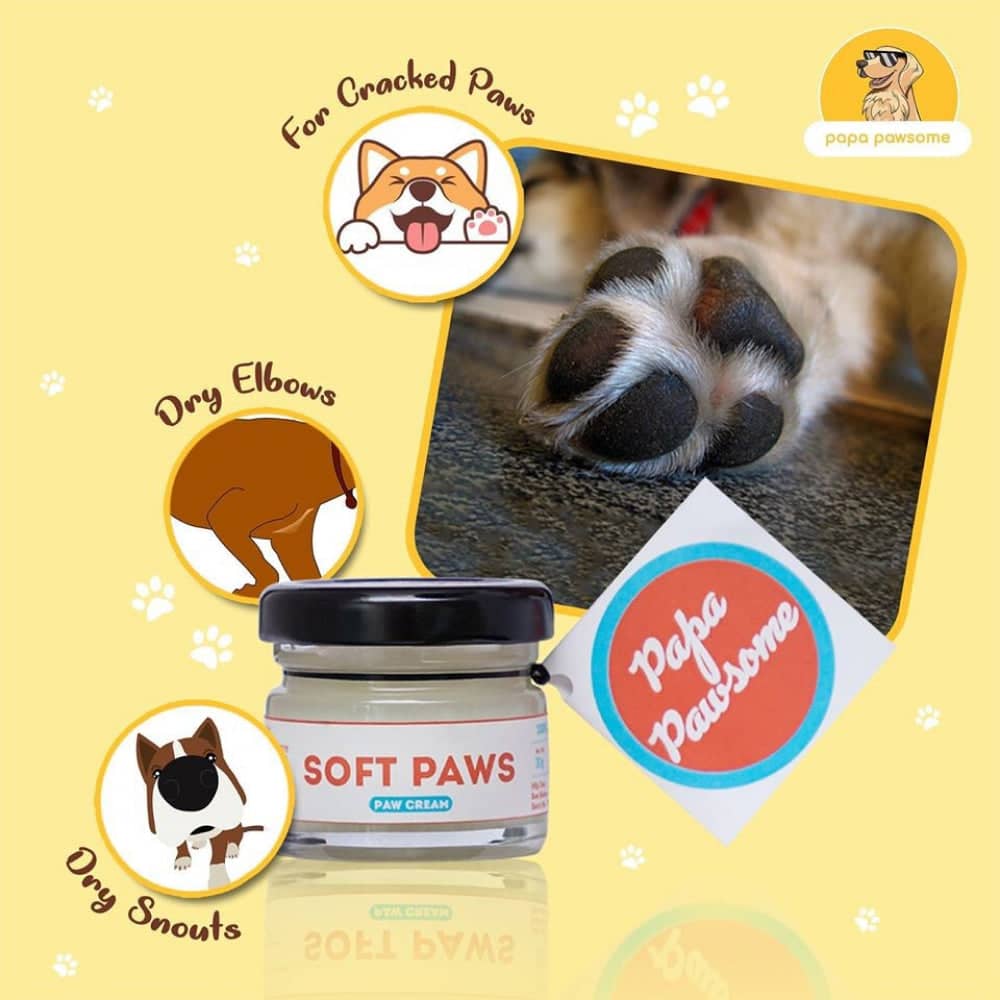 Papa Pawsome Short Smooth Coat Easy Peasy Grooming Kit (Corgi)