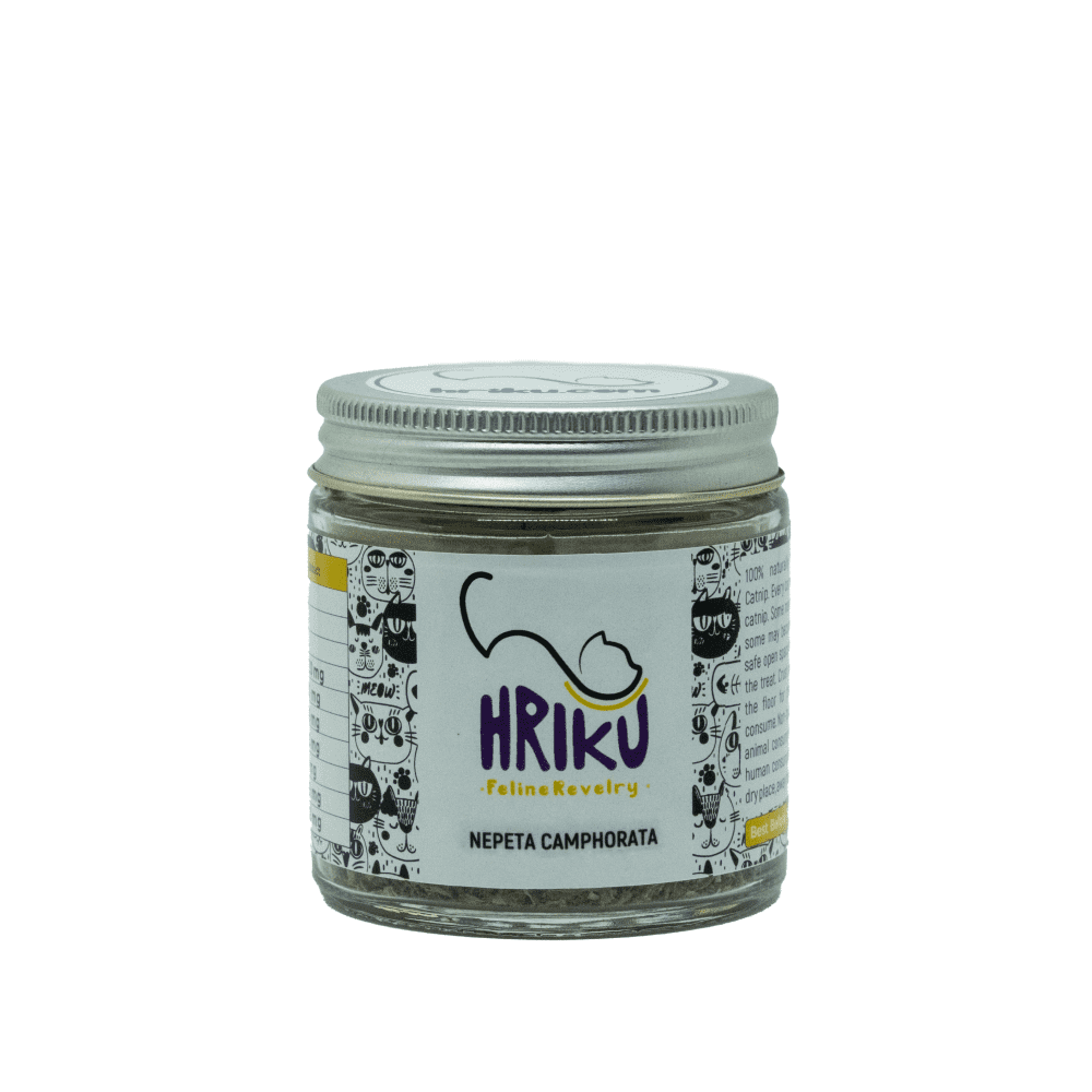 Hriku Catnip Nepeta Camphorata for Cats