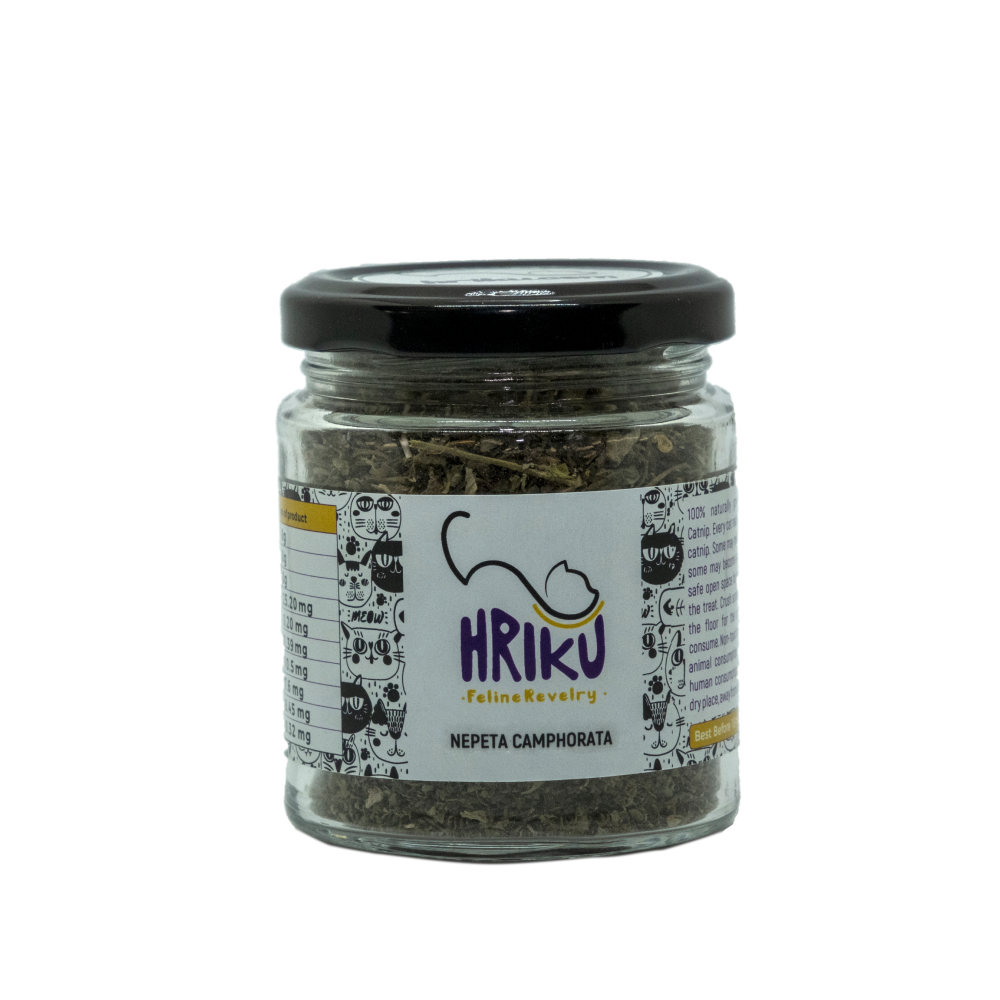 Hriku Catnip Nepeta Camphorata for Cats