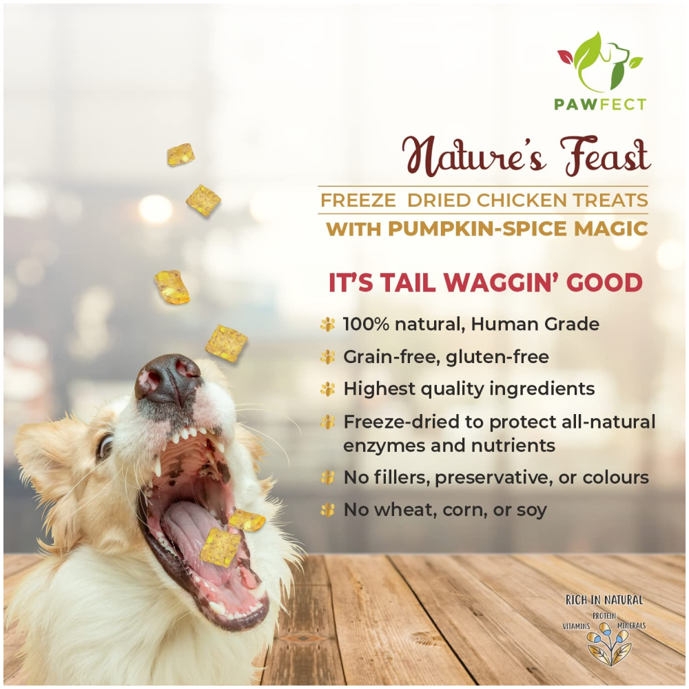 Pawfect Natures Feast Pumpkin Spice Magic Dog Treats