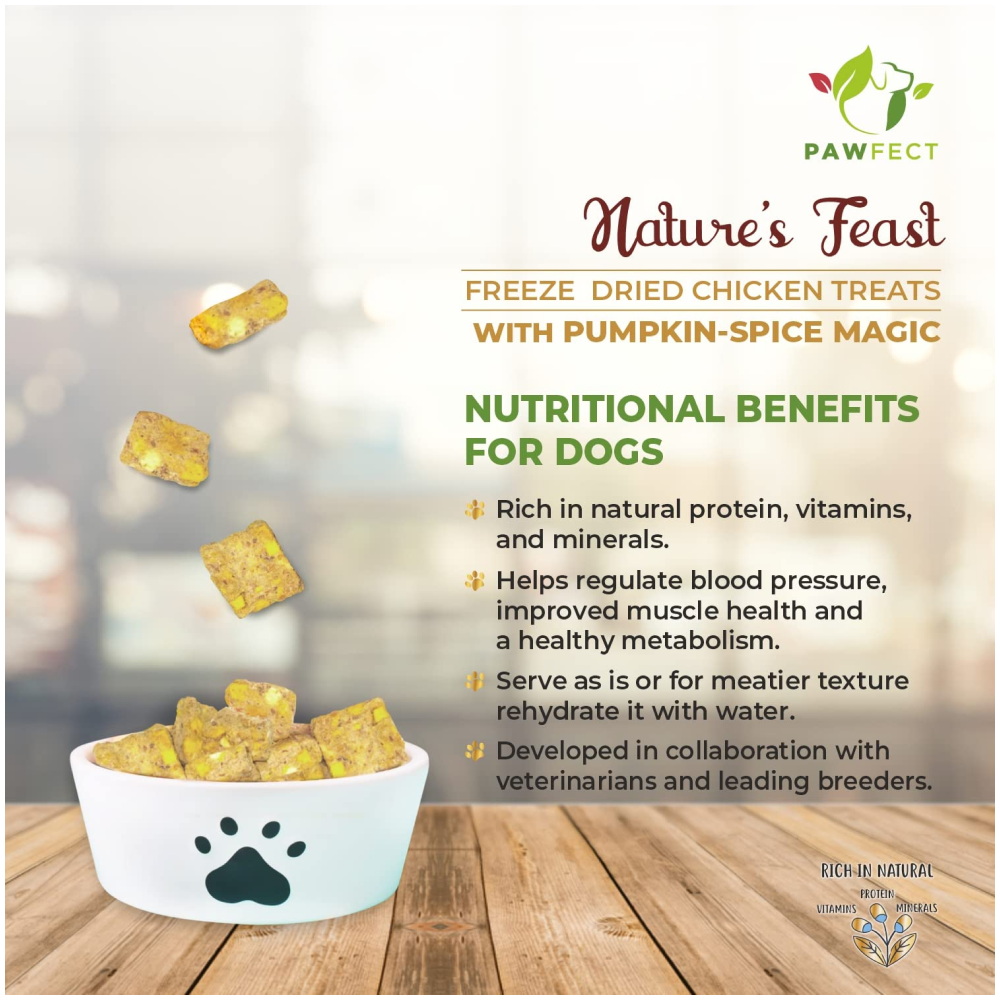 Pawfect Natures Feast Pumpkin Spice Magic Dog Treats