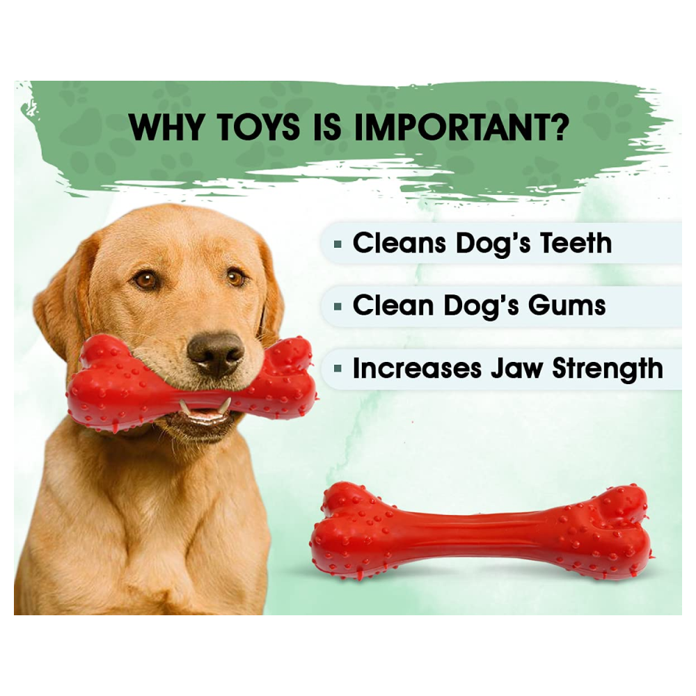 Boltz Combo of Bone and Spike Ring Toy for Dogs (Assorted)