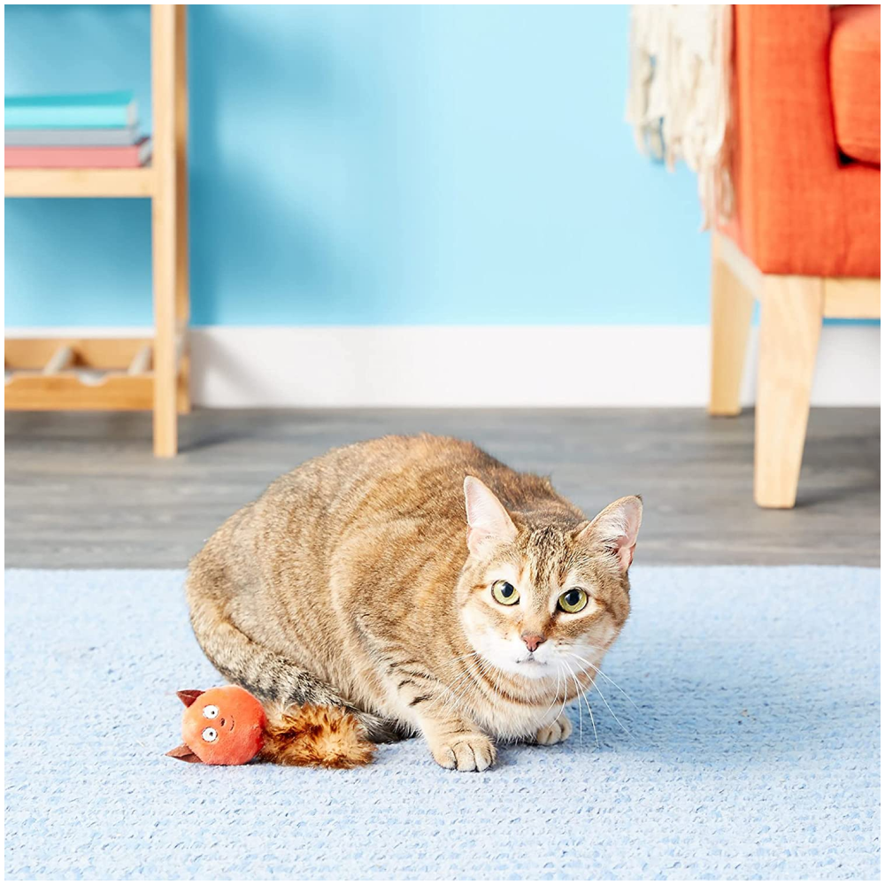 Petmate JW Cataction Plush Catnip Cat Toy (Squirrel)
