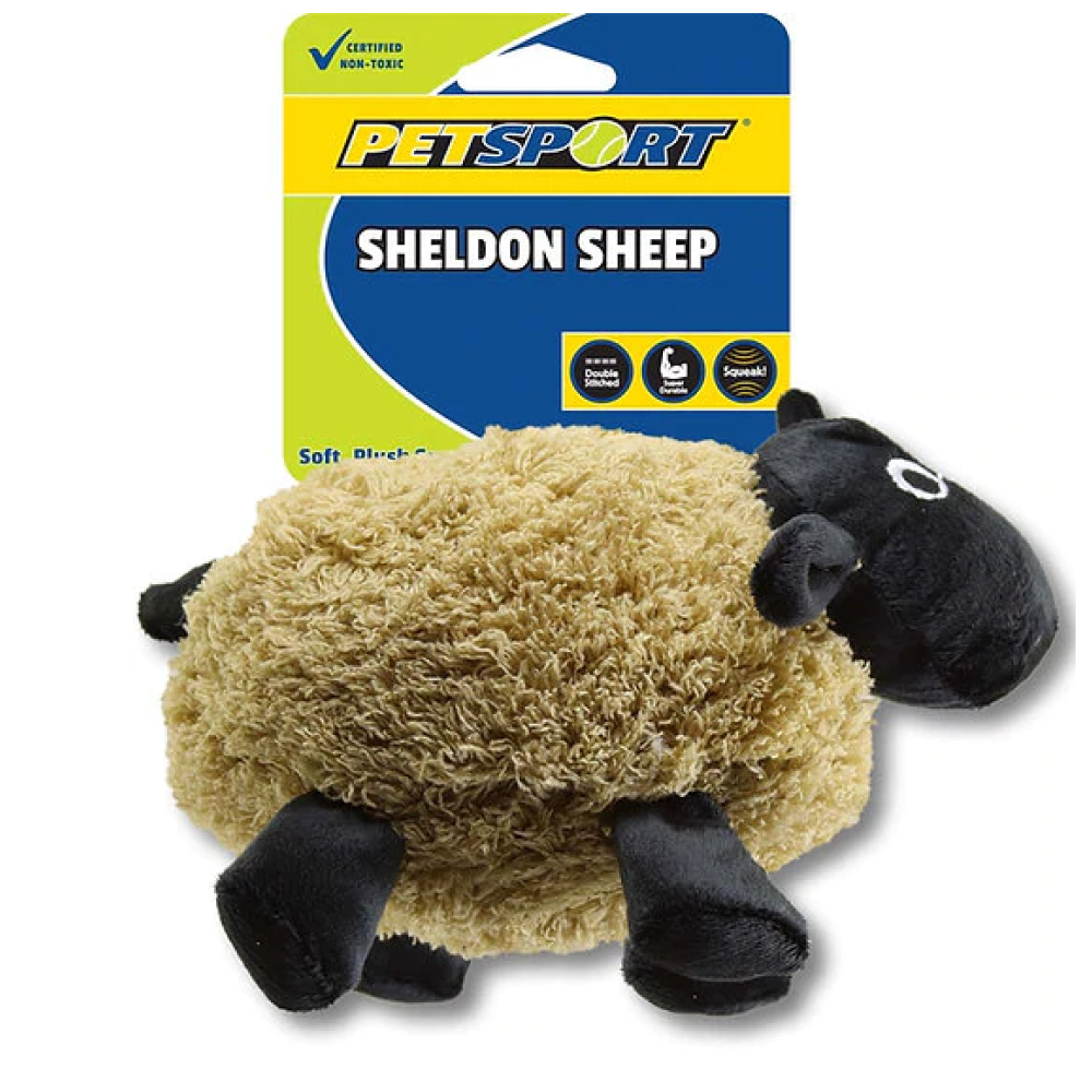 Petsport Sheldon Sheep Plush Toy for Dogs (Assorted)