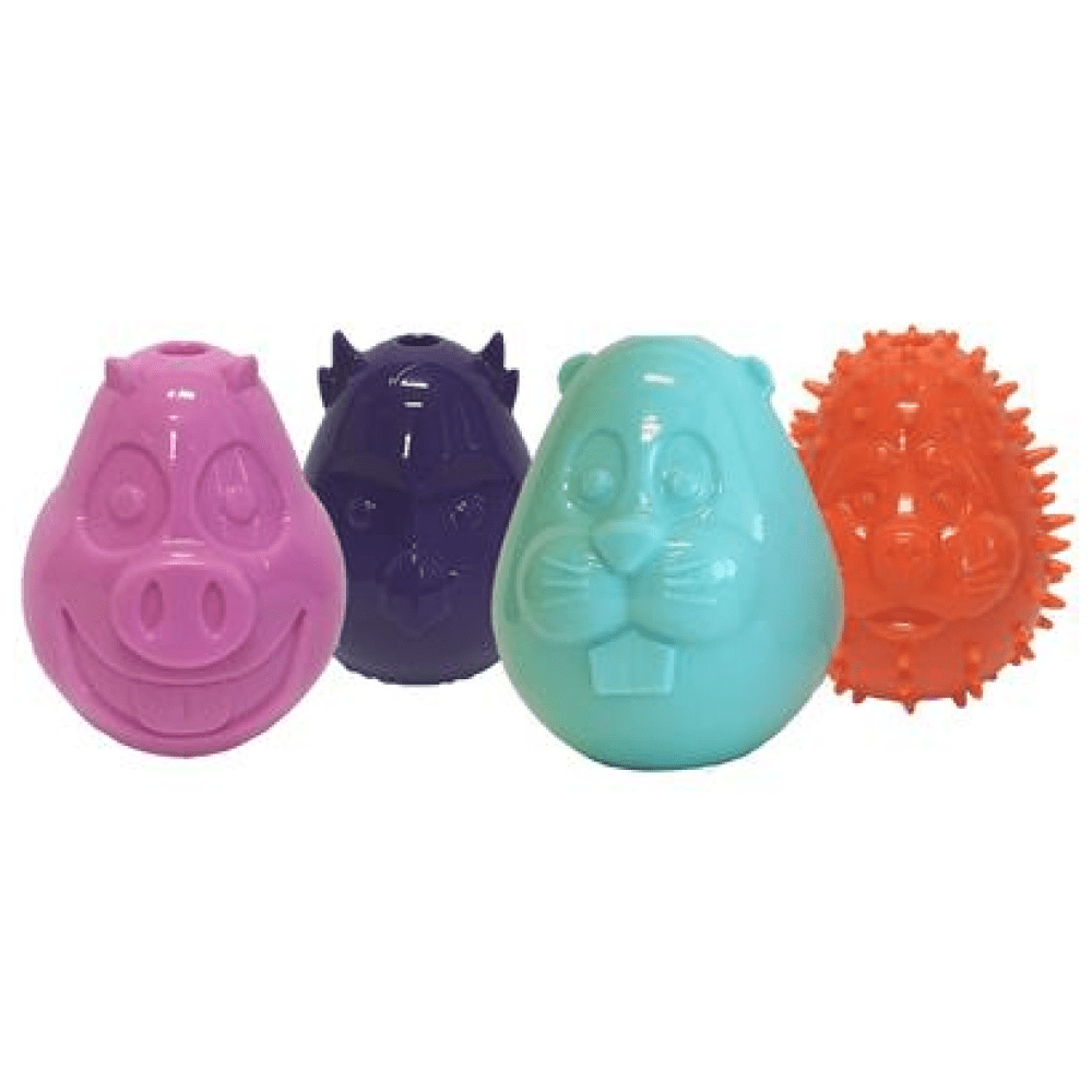 Petsport Small Mojo Friends Toy for Dogs (Assorted)