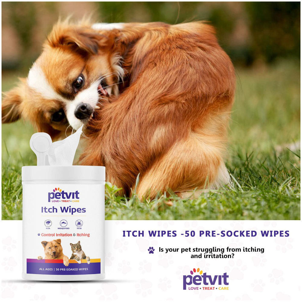 Petvit Itch Wipes for Pets (Buy 1 Get 1 Free)