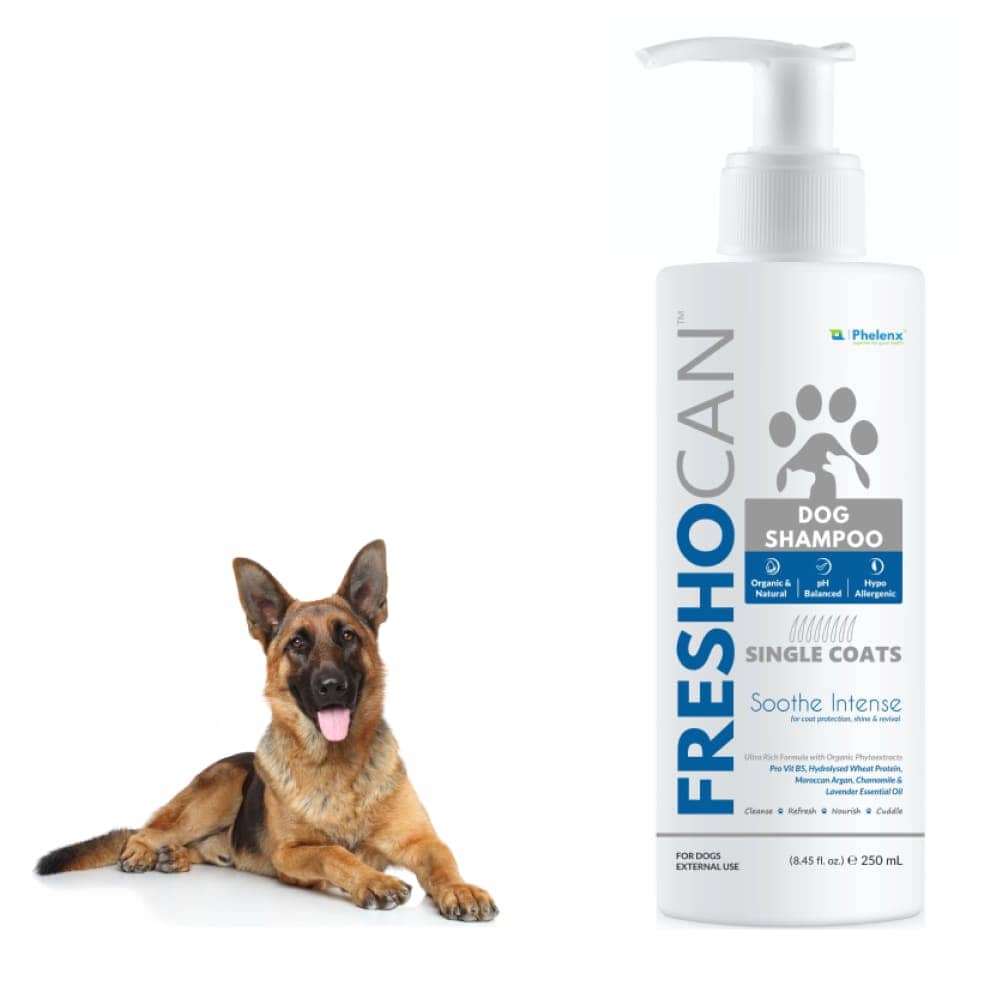 Phelenx Freshocan Single Coat Shampoo for Dogs