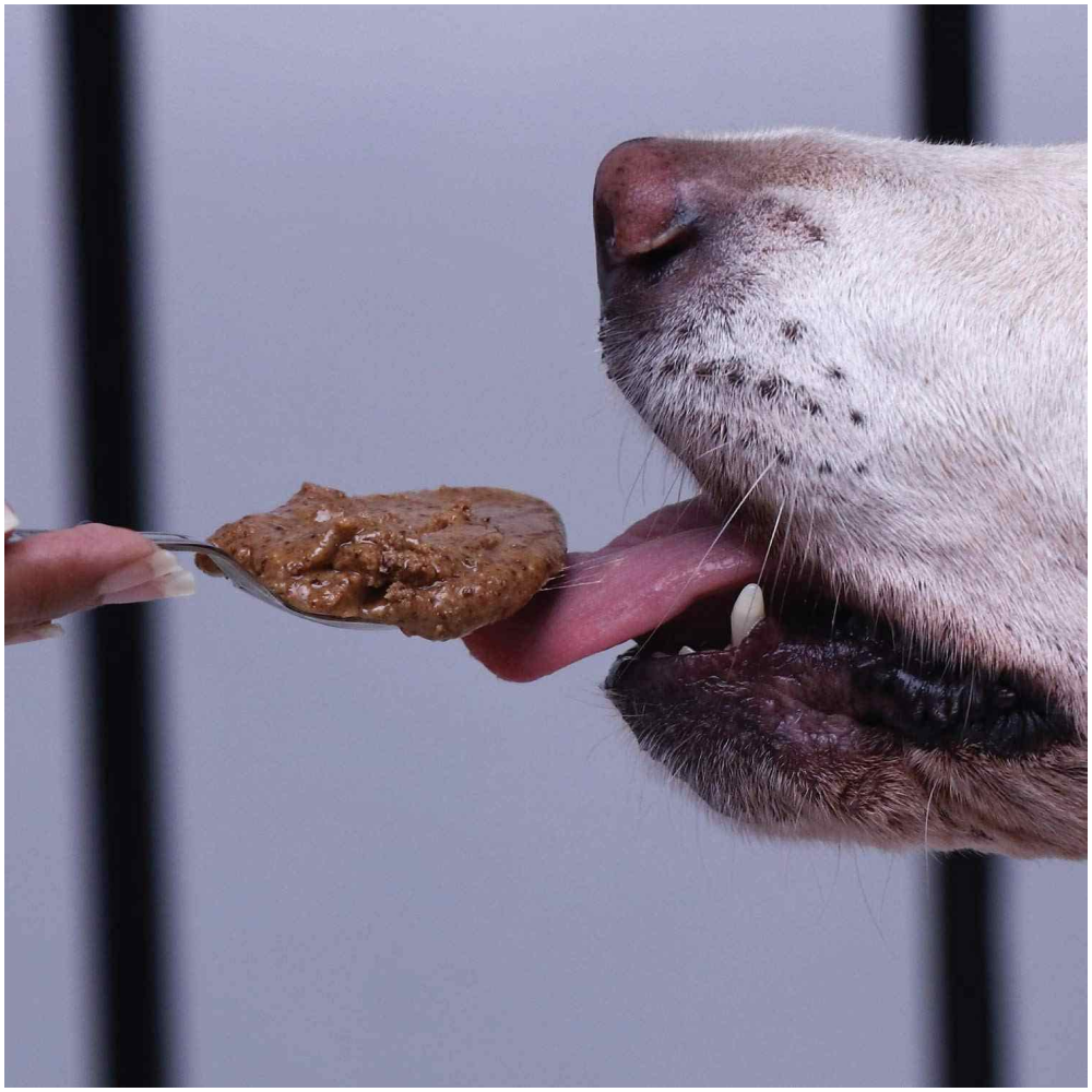 Fresh For Paws Peanut Butter for Dogs