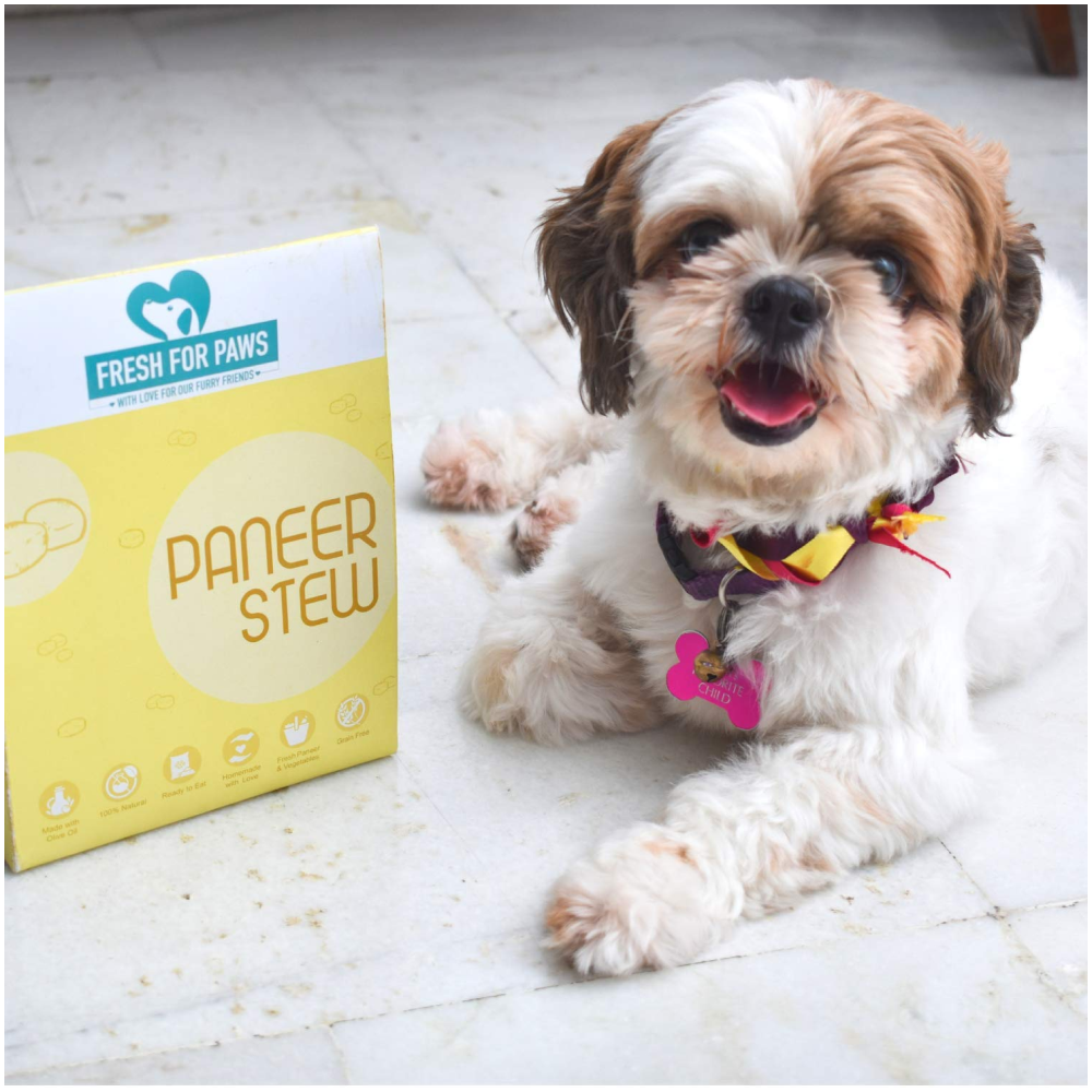 Fresh For Paws Paneer Stew Vegetarian Dog Wet Food