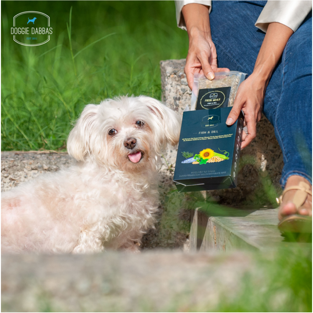 Doggie Dabbas Fish & Dill Fresh Dog Food