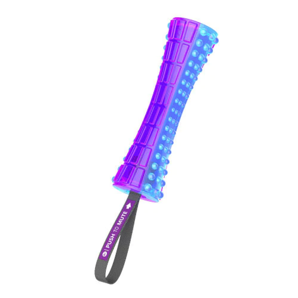 GiGwi Push To Mute Johnny Stick - Purple/Blue