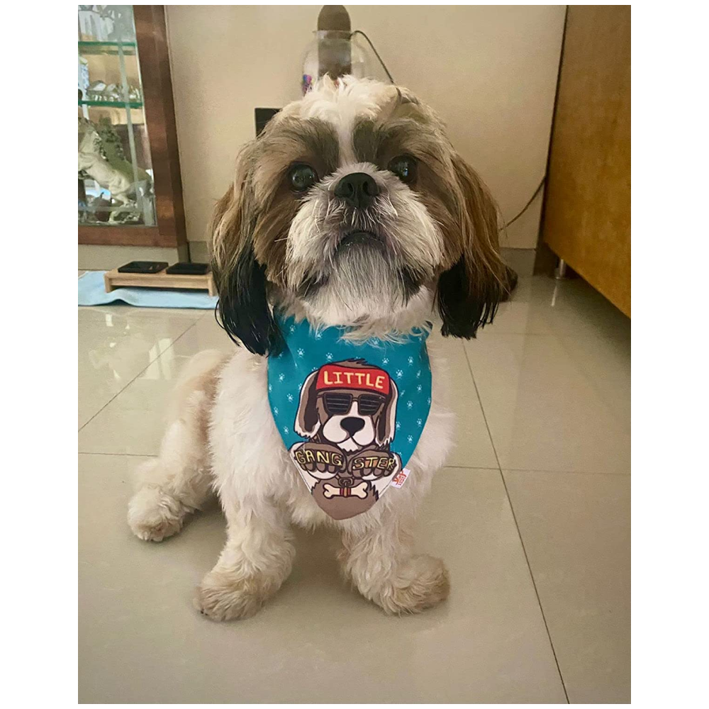 Lana Paws Little Gangster Adjustable Dog Bandana/ Scarf