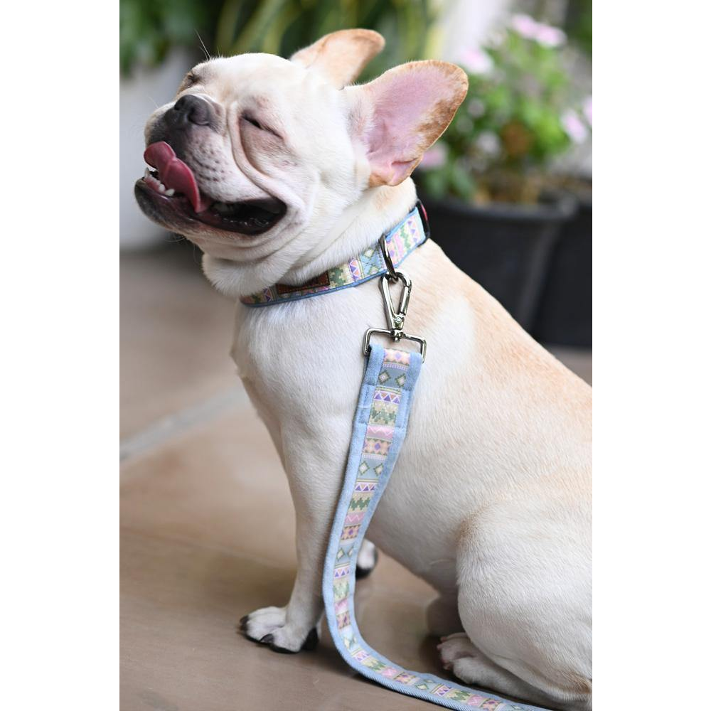 Mutt of Course Aztec Print Leash for Dogs