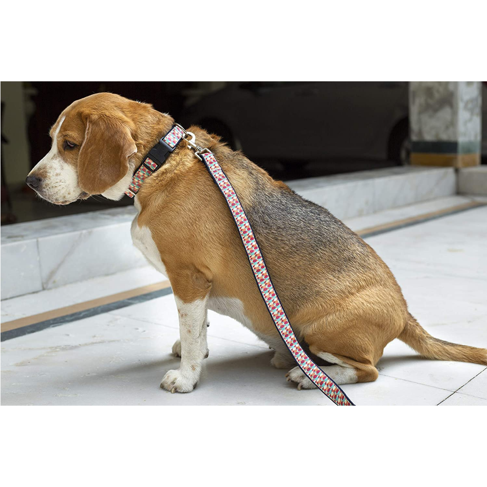 Mutt of Course Candy Barrr Leash for Dogs
