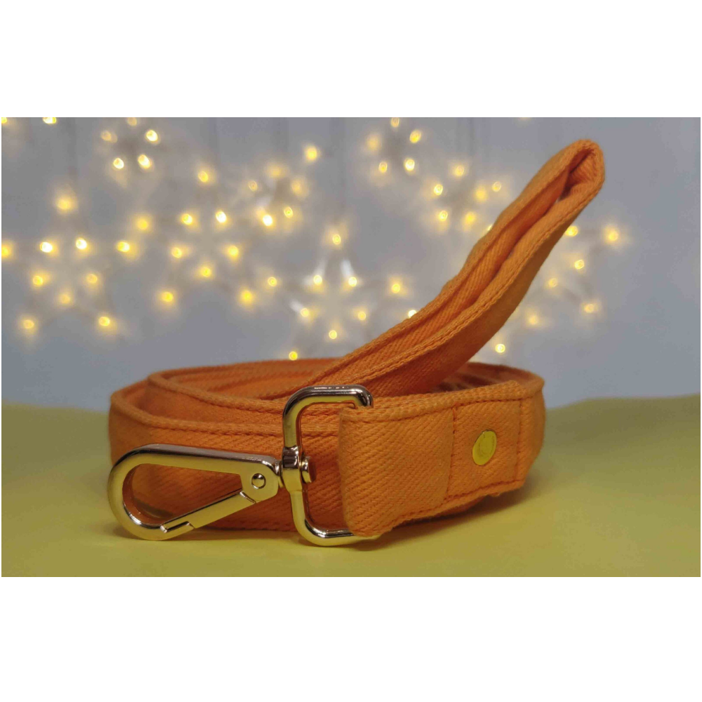 Mutt of Course Leash for Dogs (Gooseberry)