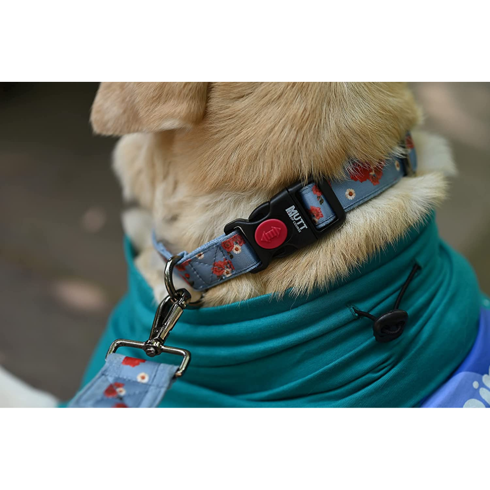 Mutt of Course Pawesome Blossom Collar for Dogs