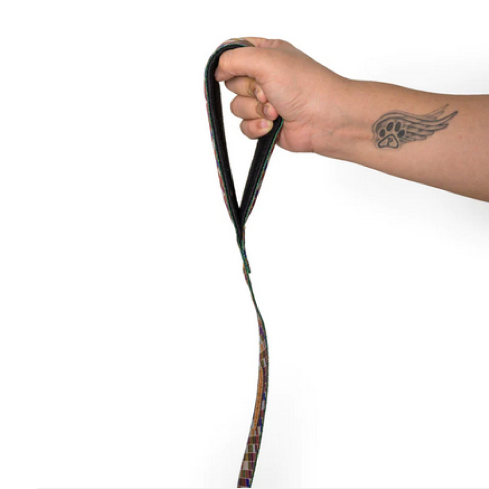 PetWale Diamond Padded Handle Leash for Dogs (Multicolour)