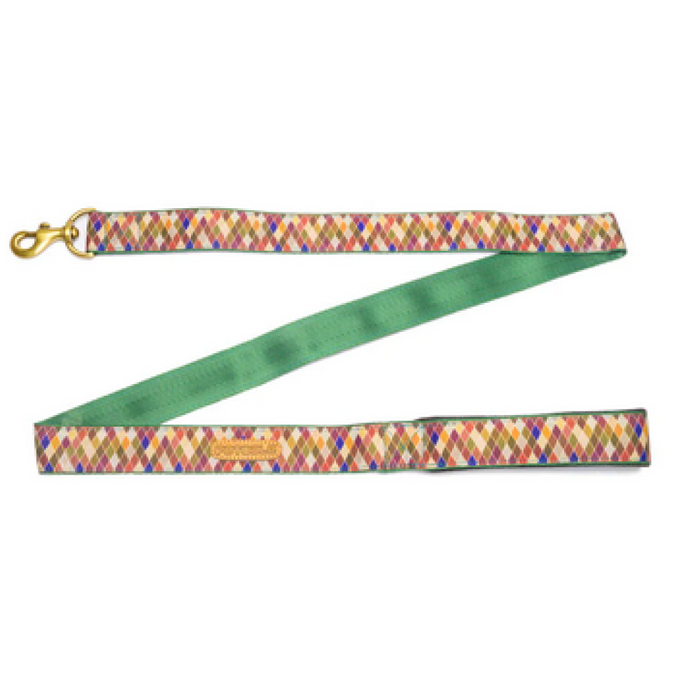 PetWale Diamond Padded Handle Leash for Dogs (Multicolour)