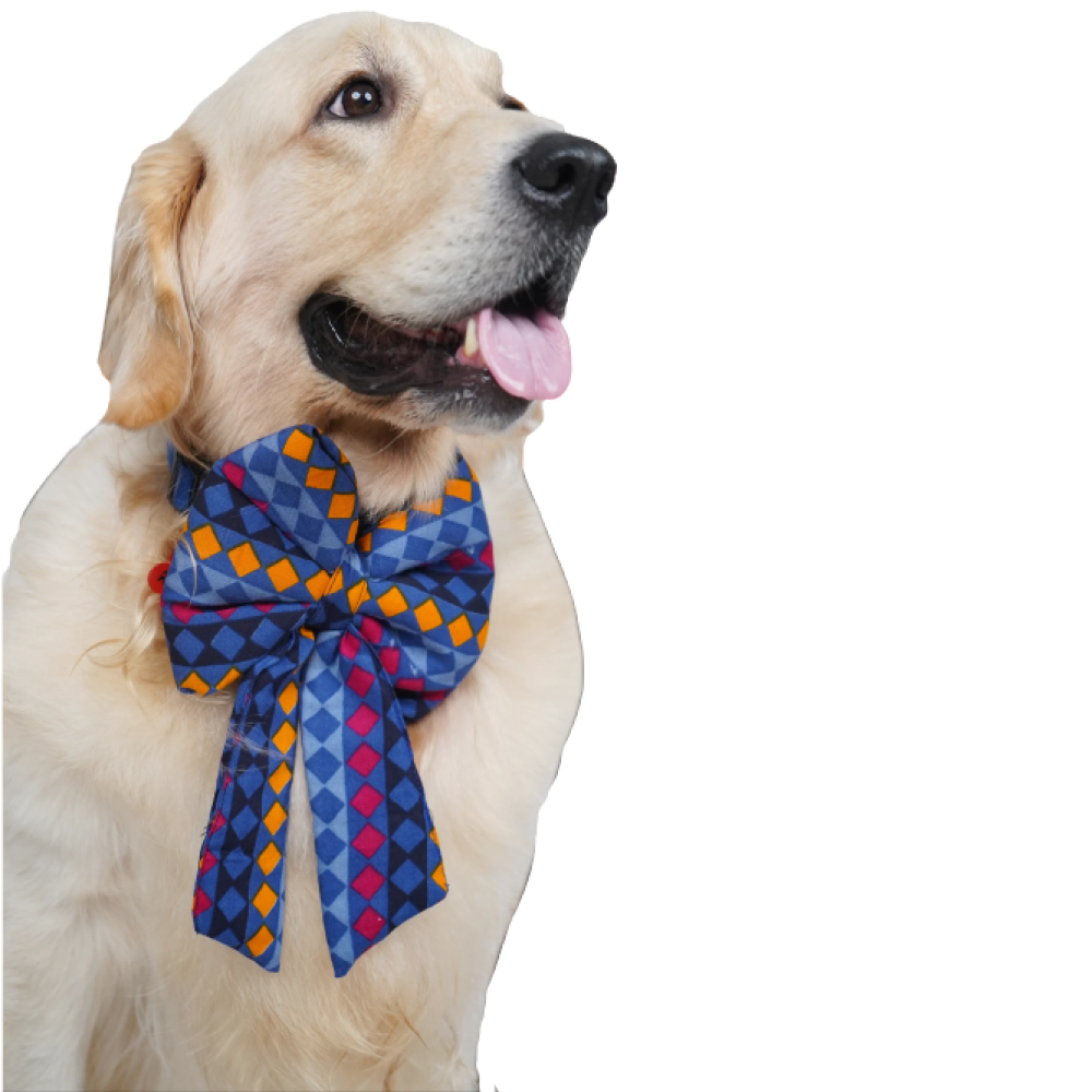 Up4pets Checkers Series Pigtail for Dogs (Blue)