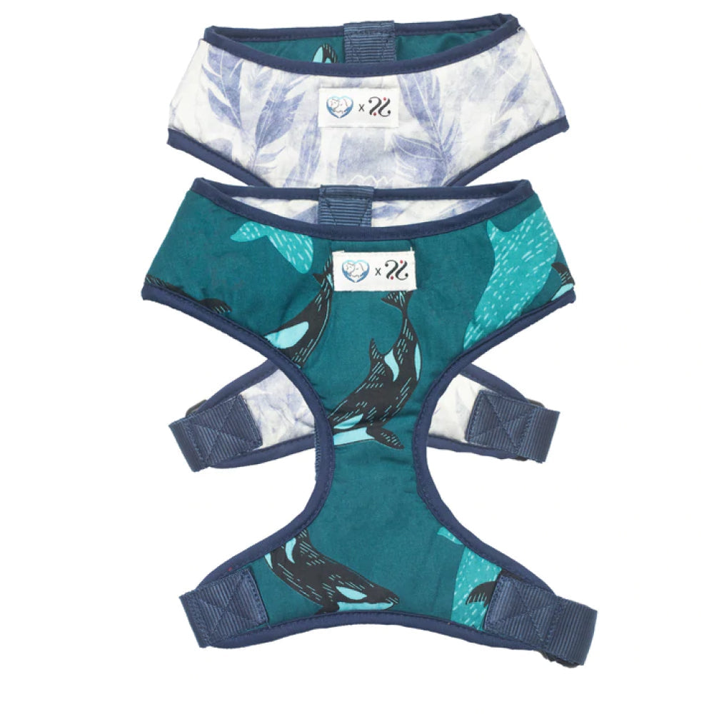 Pet And Parents (Namaste Pets) Feather & Whale Reversible Harness for Dogs