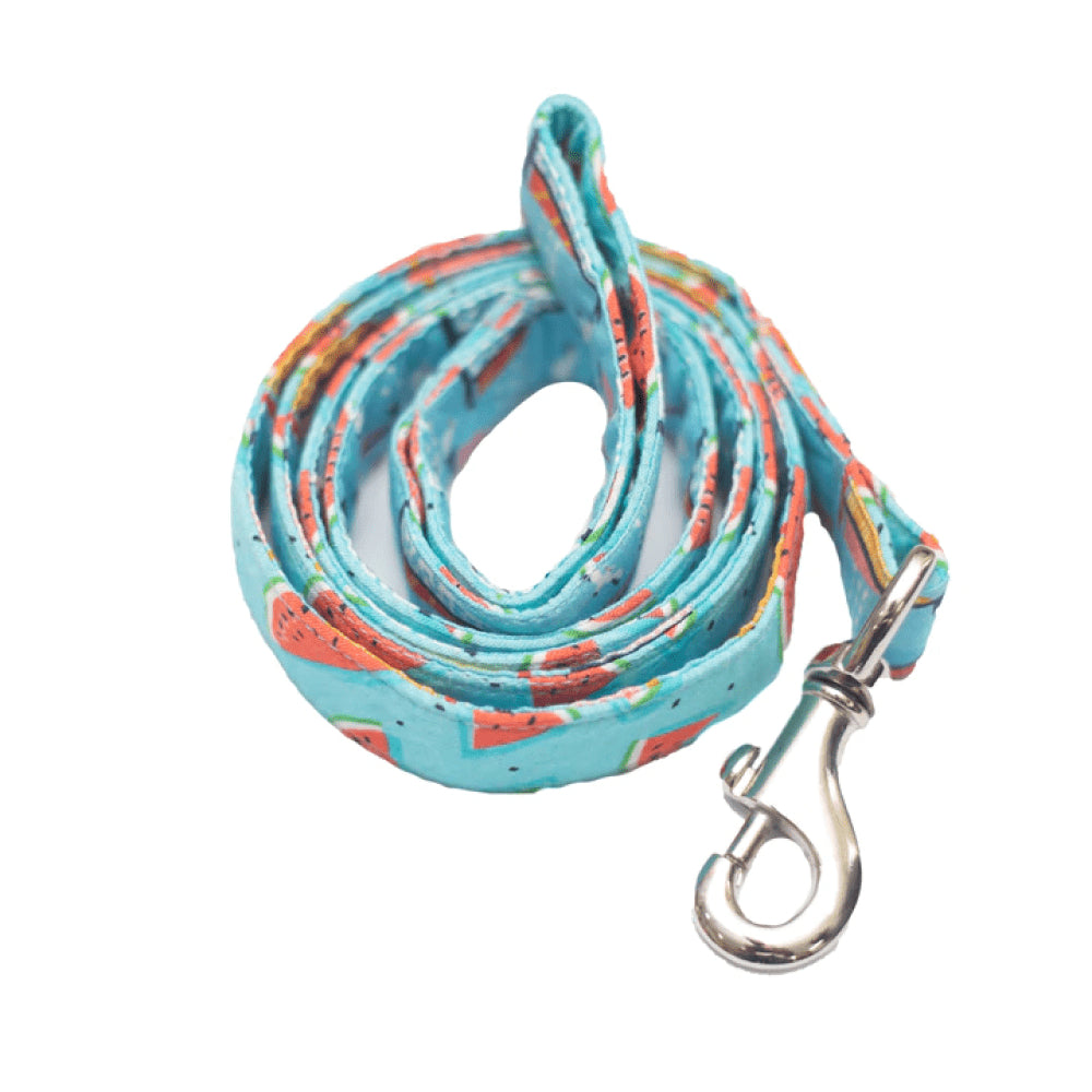 Pet And Parents (Namaste Pets) Sailing Watermelon Leash for Dogs