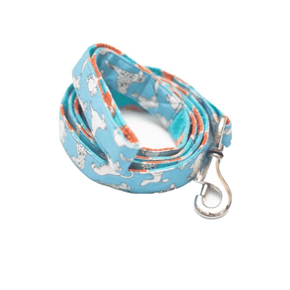 Pet And Parents (Namaste Pets) Citrus Paws Leash for Dogs
