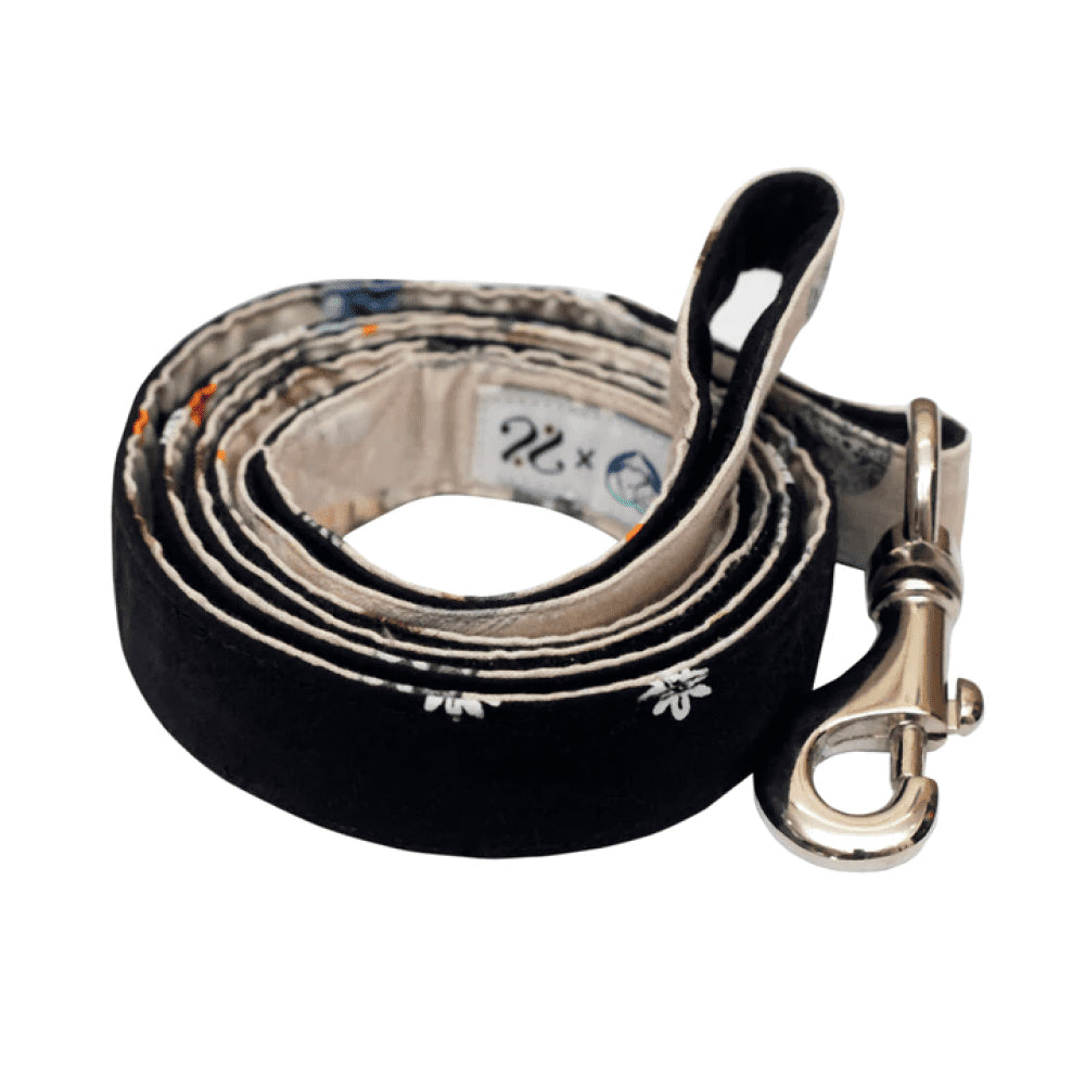 Pet And Parents (Namaste Pets) Flying Daisy Leash for Dogs