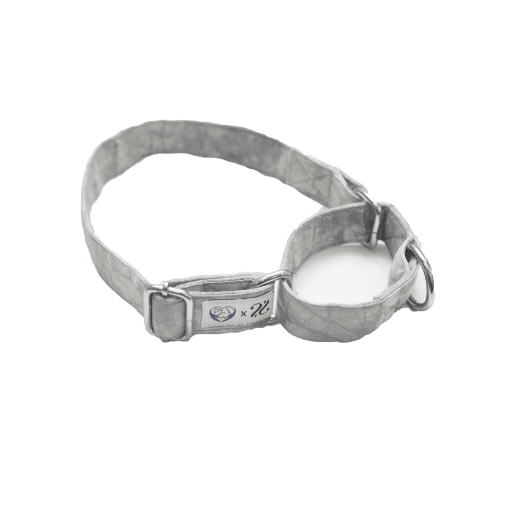 Pet And Parents (Namaste Pets) Grey Tie Dye Double Padded Martingale Collar for Dogs