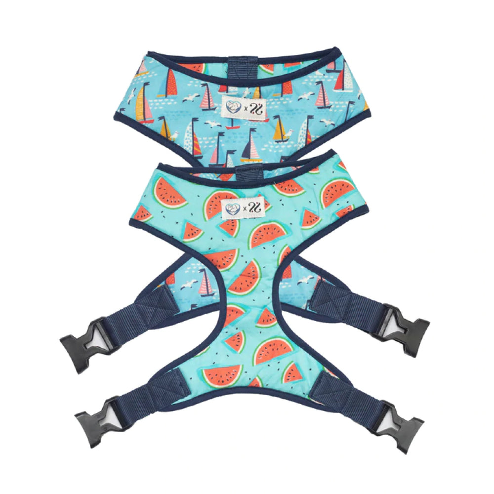 Pet And Parents (Namaste Pets) Sailing Watermelon Reversible Harness for Dogs