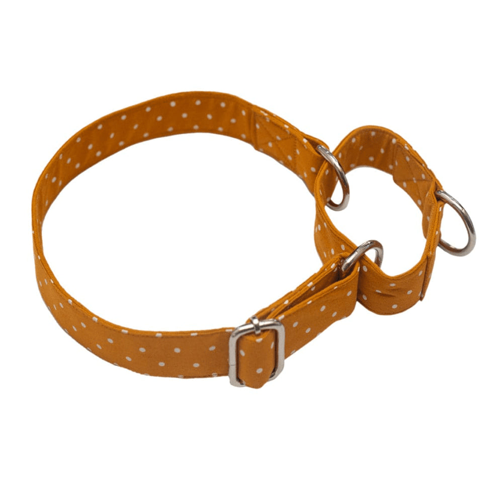 Pet And Parents (Namaste Pets) Yellow Dotsy Double Padded Martingale Collar for Dogs