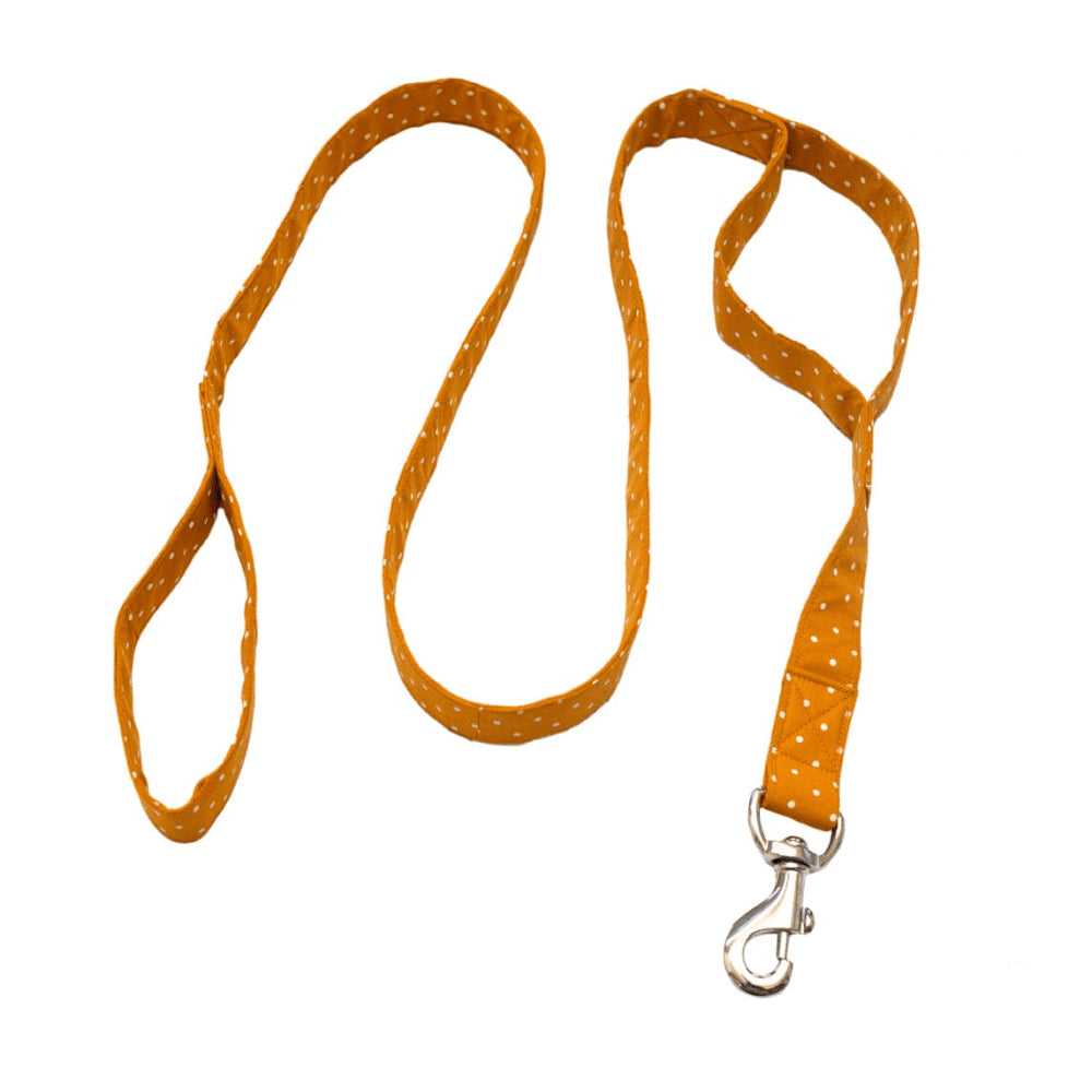 Pet And Parents (Namaste Pets) Yellow Dotsy Double Handled Leash for Dogs