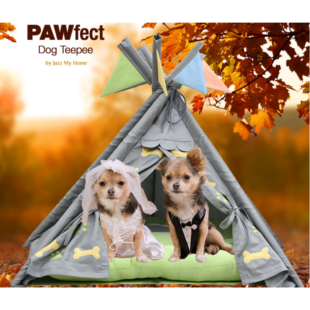 Jazz My Home Pawfect Teepee for Dogs (Hand-Made)